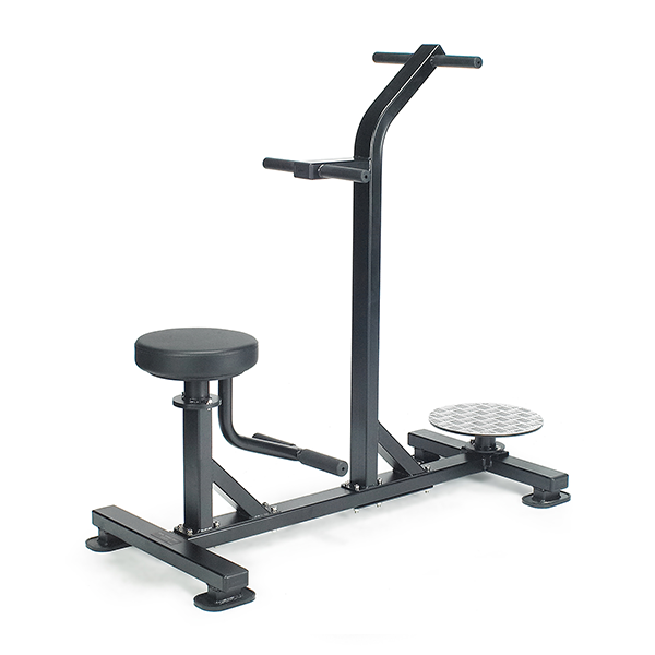 Machine de musculation Rear Pull Down Lexco / modèle LS-512